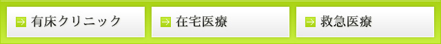 有床クリニック 在宅医療 救急医療