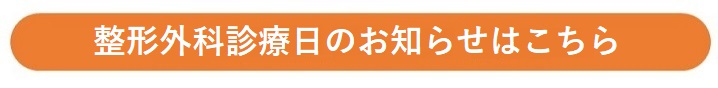seikeigeka